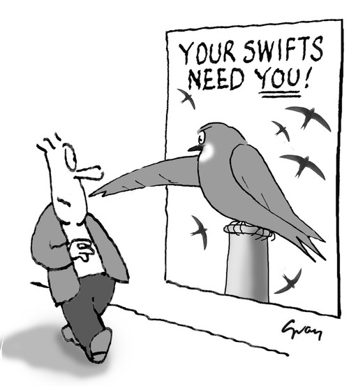 Swifts need you